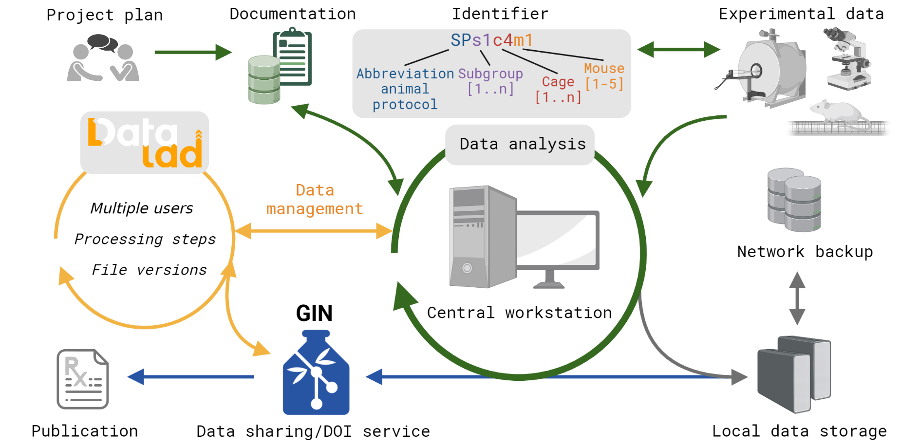 DataLadWorkflow